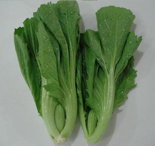 9.芥菜