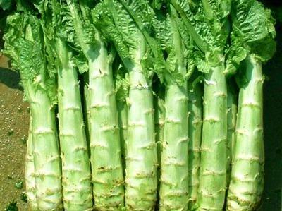 54.萵筍